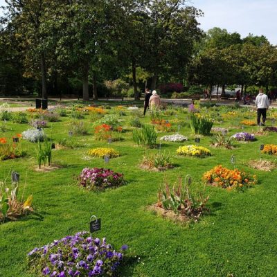 Resized_20190522_102313 Resized_20190522_102313