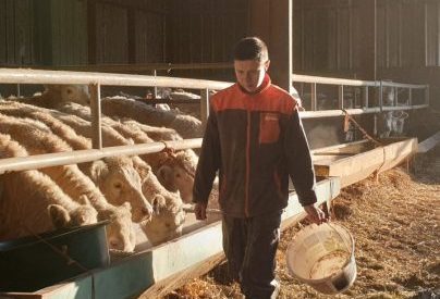 -2317889844380759791 -2317889844380759791