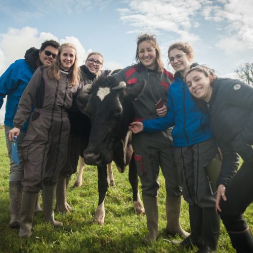 Agroécologie-7 Agroécologie-7