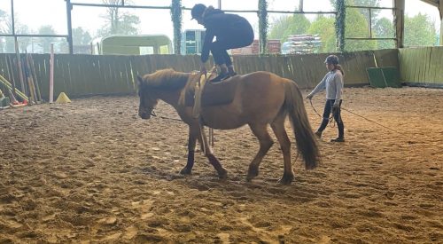 cours_voltige_1 Séance initiation à la voltige