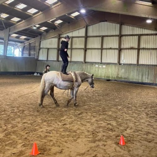 cours_voltige_2 EPI Equitation
