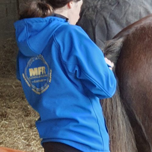 20230202_142447 TP Préparation d'un cheval