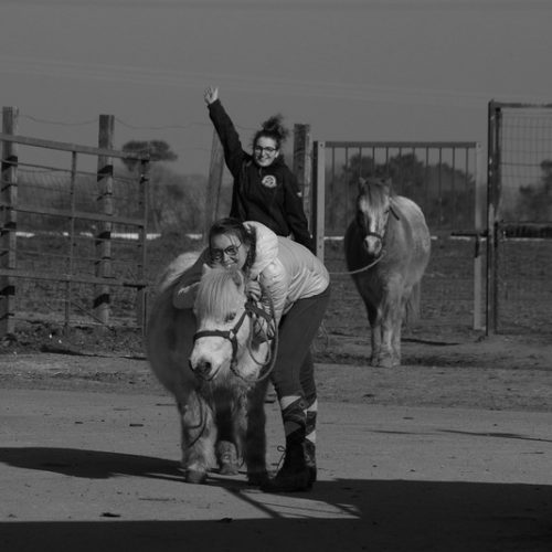 113-IMGP5322 113-IMGP5322