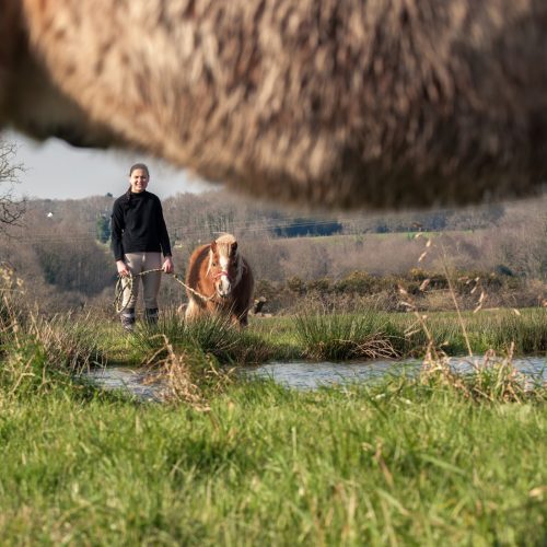 photo cool photo cool