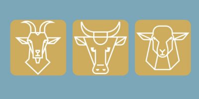 support_ruminants support_ruminants