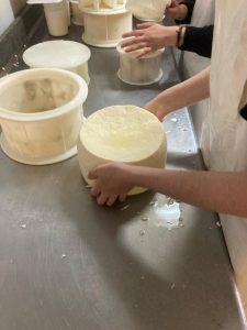 6f177476-883b-43d7-9d46-08c9daff4142