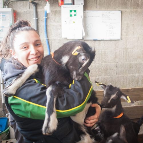 Ferme des genets-15 Ferme des genets-15