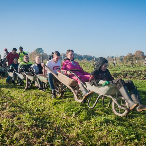 BAC_PRP_CGEA1 BAC_PRP_CGEA1