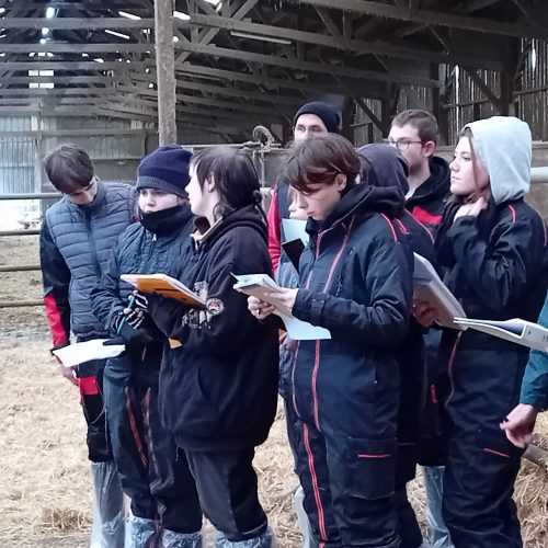 fe237a71-19b8-4b58-80b6-174b7f6b604f fe237a71-19b8-4b58-80b6-174b7f6b604f