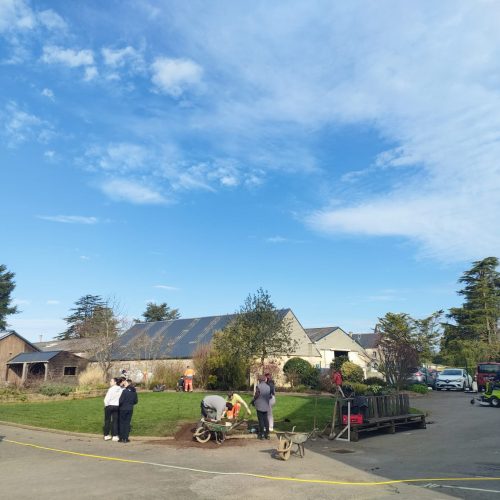 842c7938-3382-4692-b0aa-b8368f276edd 842c7938-3382-4692-b0aa-b8368f276edd