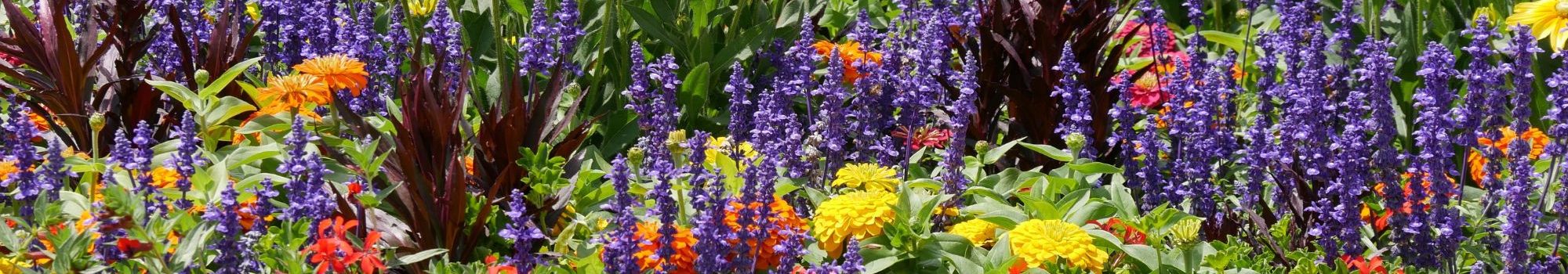 BPA jardinier BPA jardinier