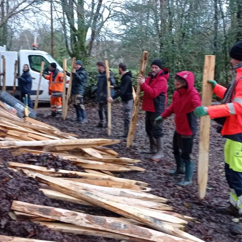 IMG_20231212_095920 IMG_20231212_095920