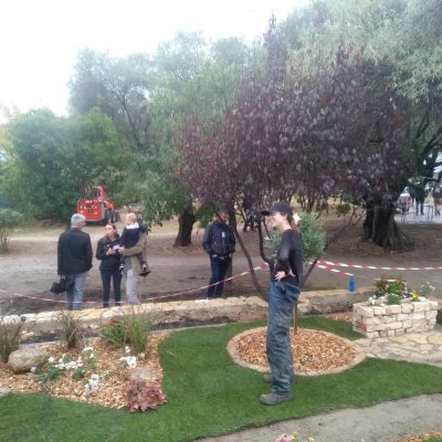 MAF_SARAH_2 MAF_SARAH_2