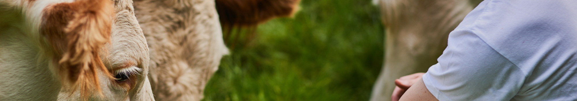 Bac_pro_CGEA Bac_pro_CGEA_alternance_Morbihan