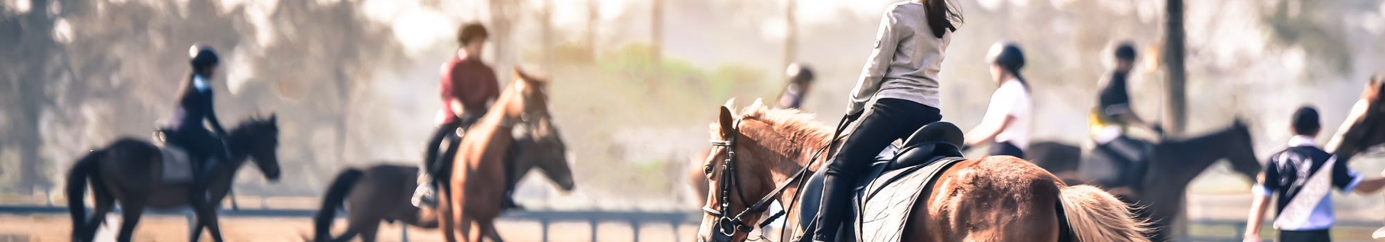 Bac_pro_CGEH Bac_Pro_CGEH_En_alternance_Morbihan