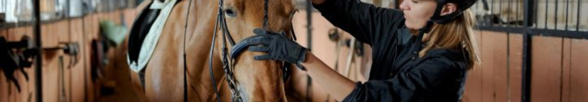 CAP_Palefreniers Formation_CAPa_Palefrenier