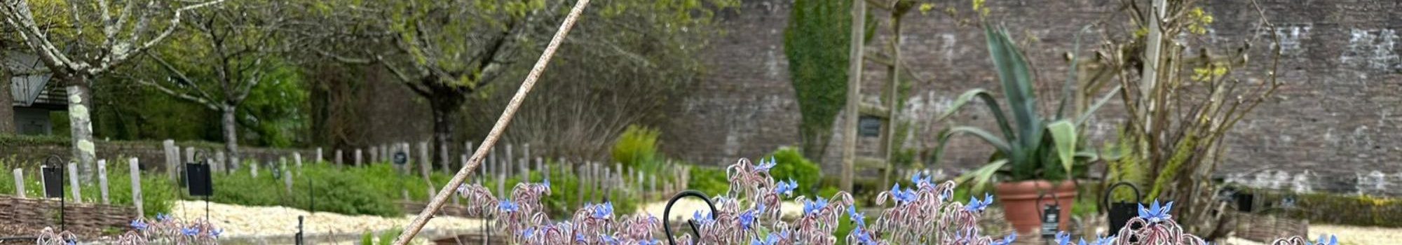 formations_courtes_paysage_mfr_questembert formations_courtes_paysage_mfr_questembert